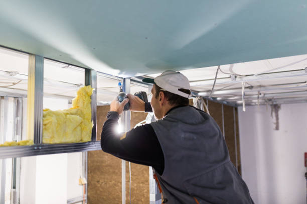 Best Fiberglass Insulation in La Junta, CO
