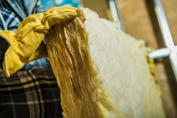 Best Geographic-Specific Insulation Services in La Junta, CO