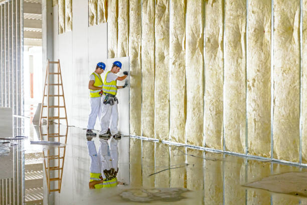 Best Spray Foam Insulation in La Junta, CO